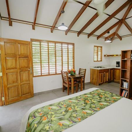 Dreamy Contentment Matapalo  Exterior foto