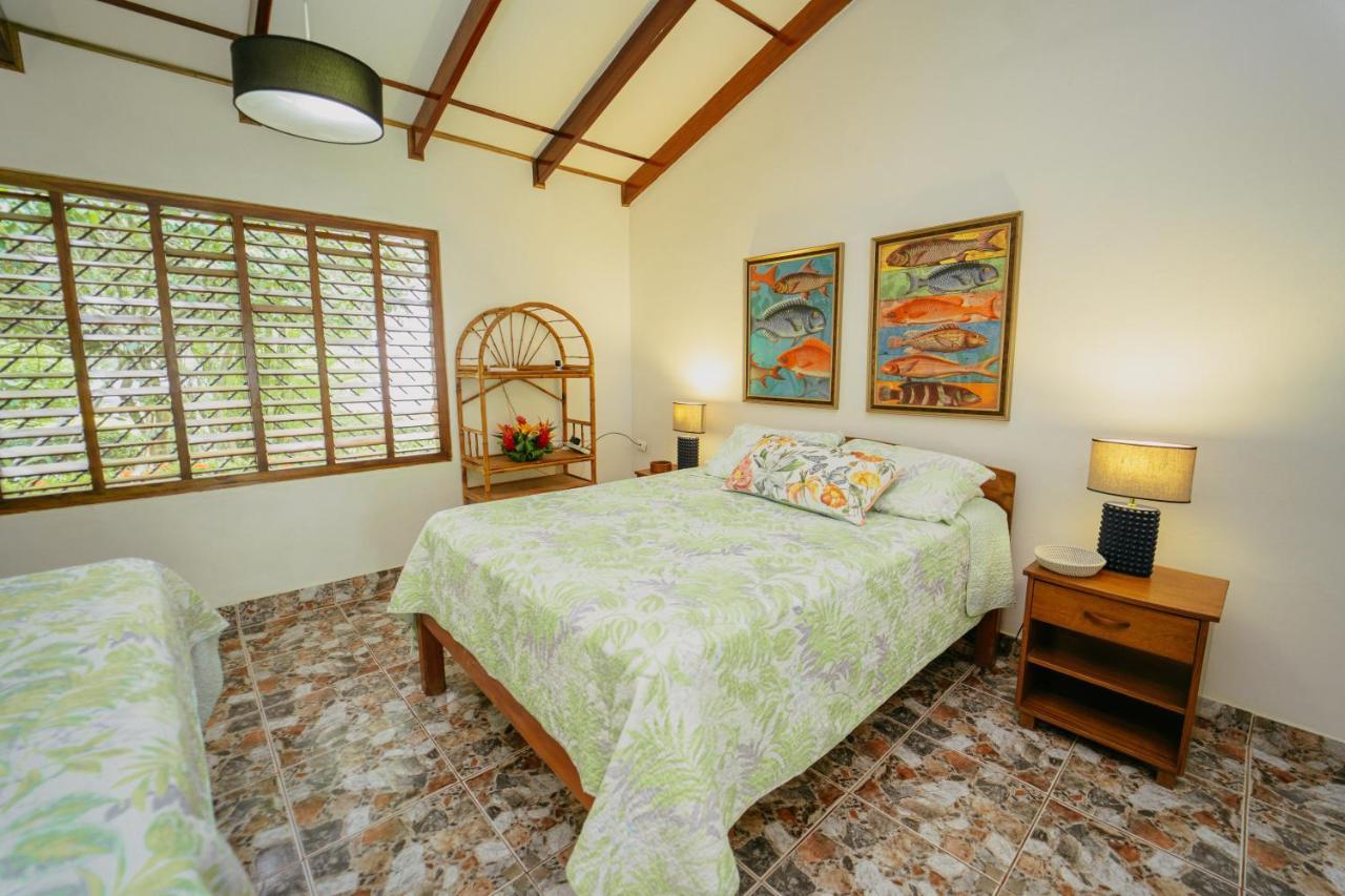 Dreamy Contentment Matapalo  Exterior foto