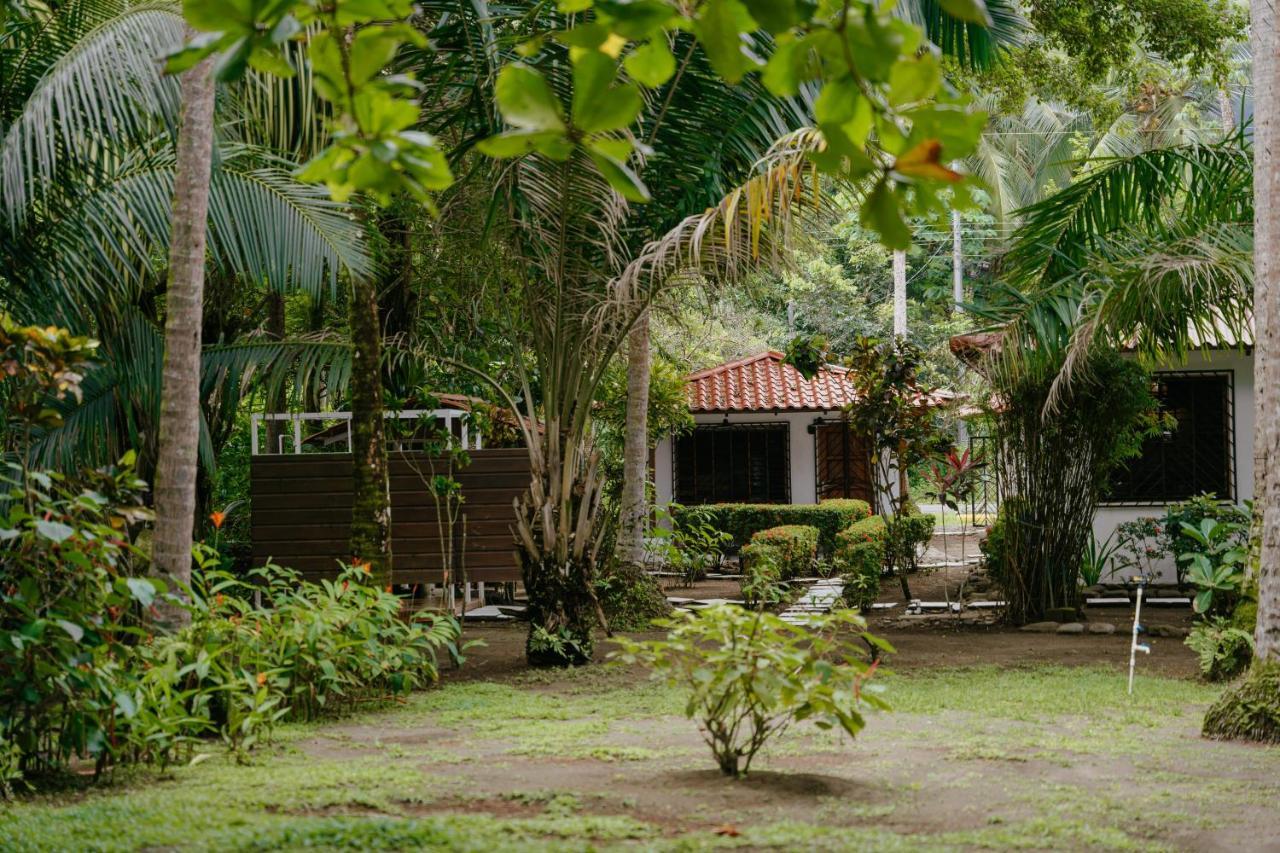 Dreamy Contentment Matapalo  Exterior foto