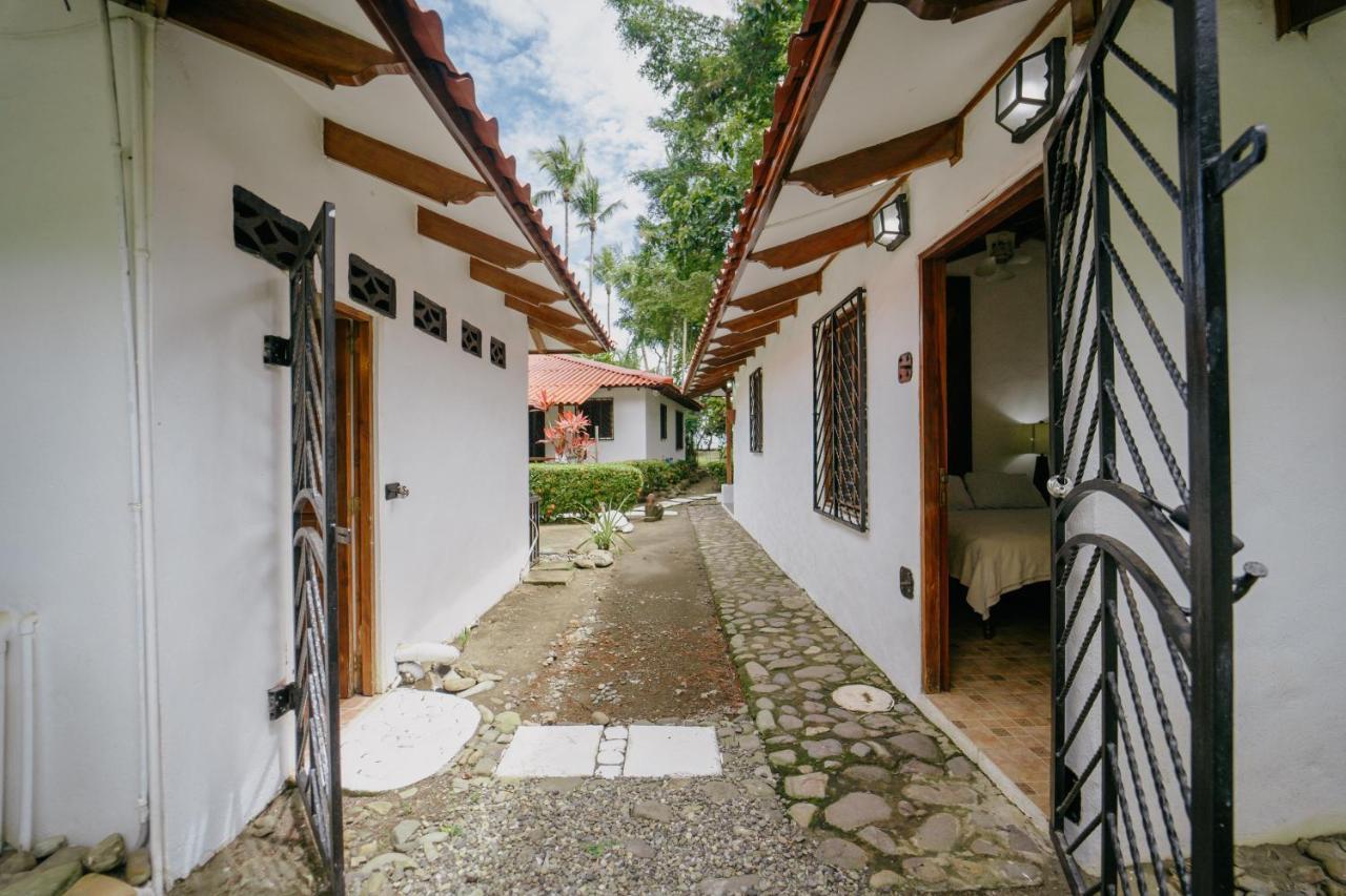 Dreamy Contentment Matapalo  Exterior foto
