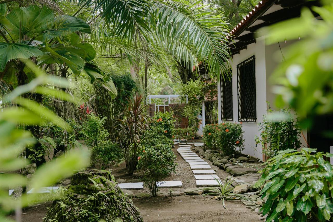 Dreamy Contentment Matapalo  Exterior foto