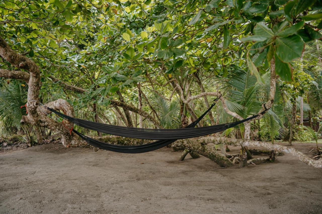 Dreamy Contentment Matapalo  Exterior foto