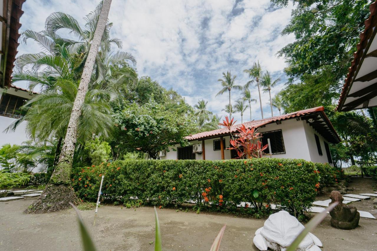 Dreamy Contentment Matapalo  Exterior foto