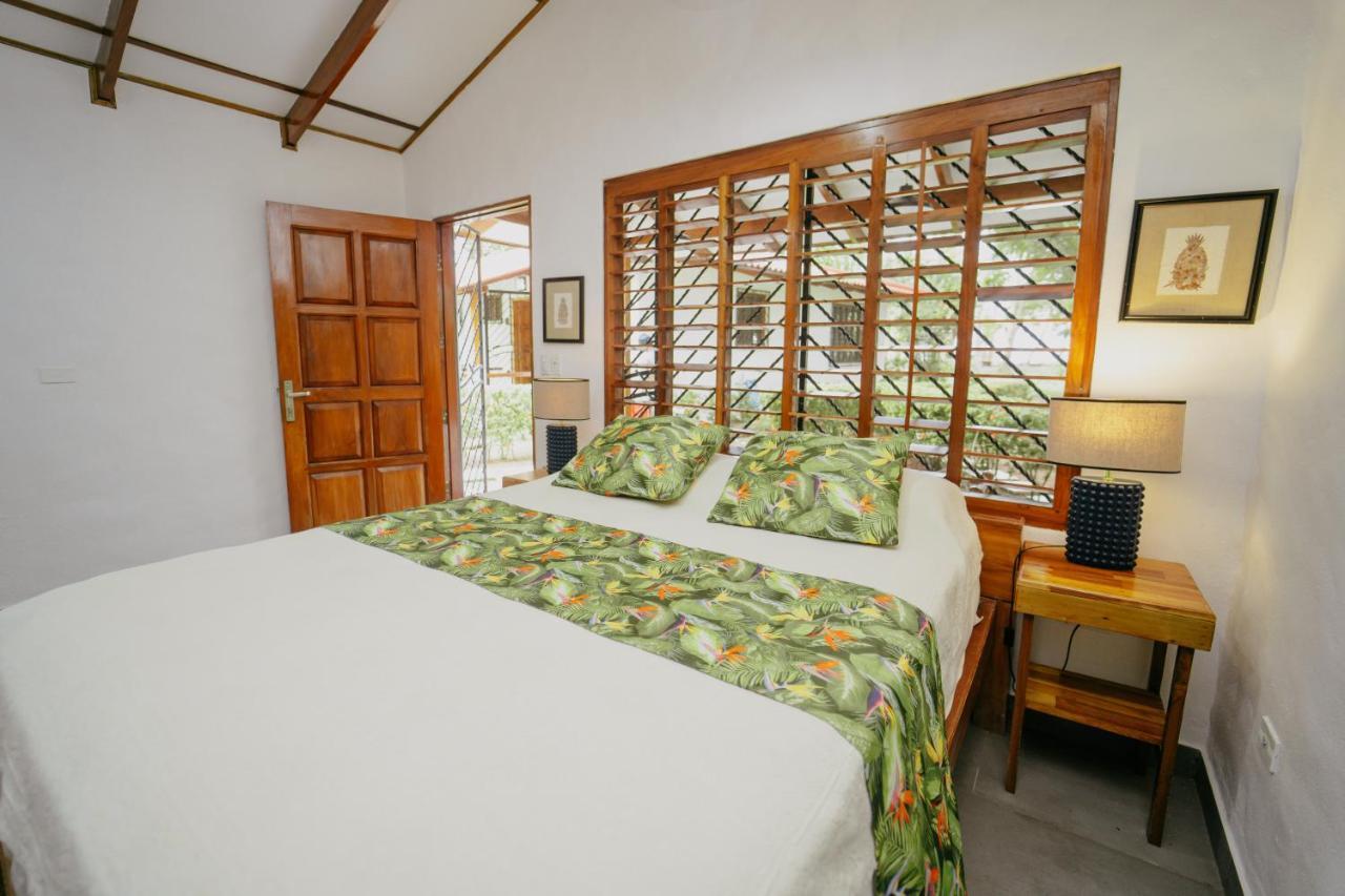 Dreamy Contentment Matapalo  Exterior foto