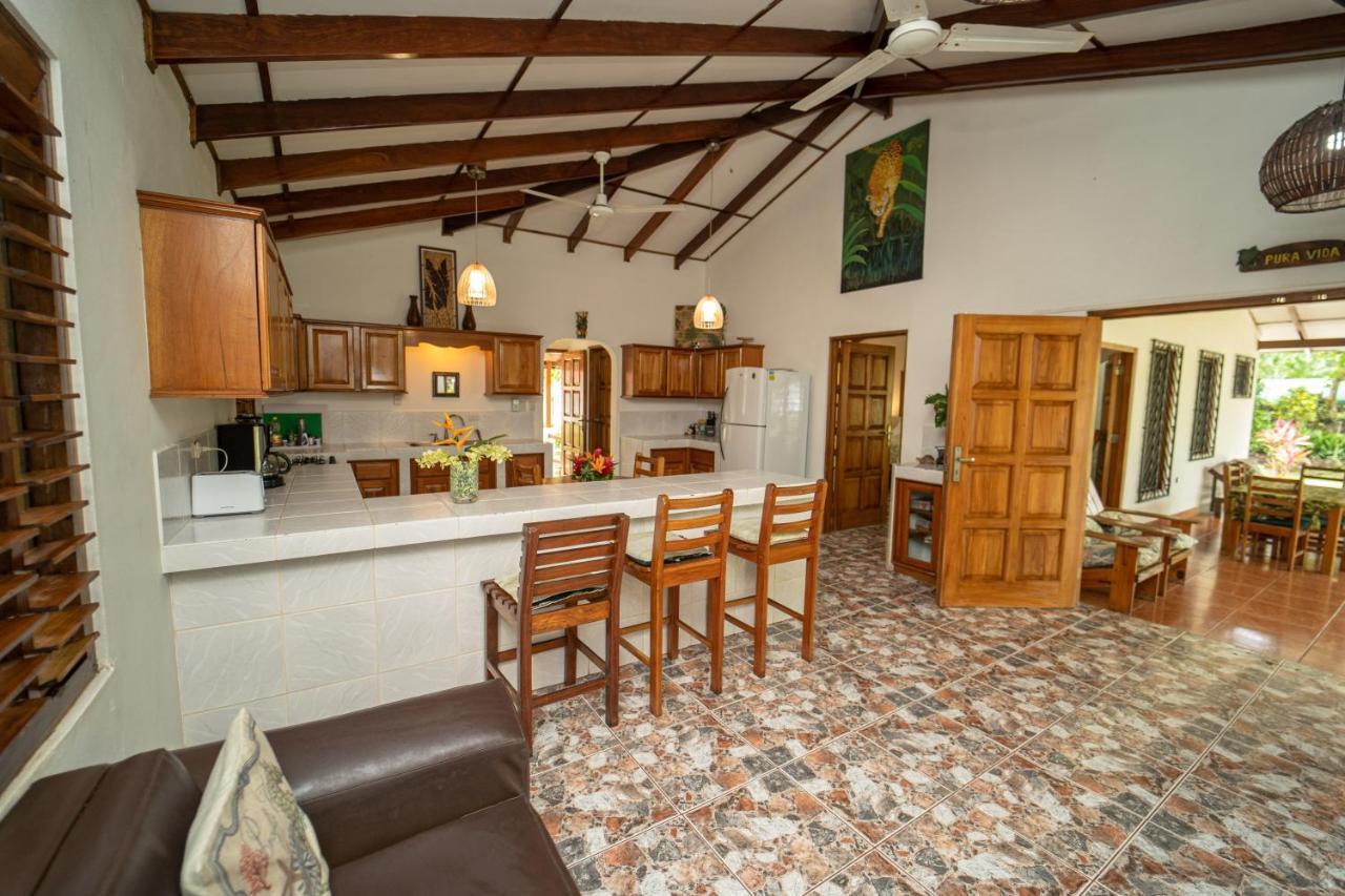 Dreamy Contentment Matapalo  Exterior foto