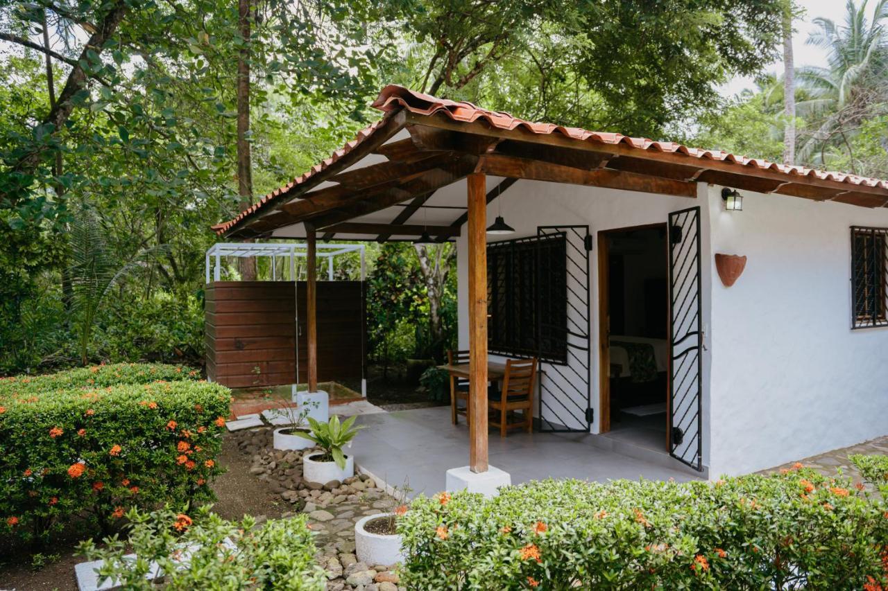 Dreamy Contentment Matapalo  Exterior foto