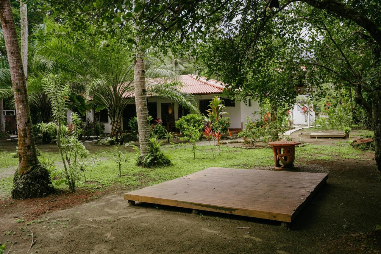 Dreamy Contentment Matapalo  Exterior foto